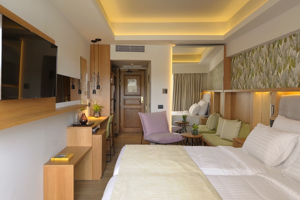 Deluxe room mountain view